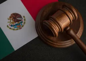 An illustration of the Mexican flag and a judge's gavel representing laws and regulations.
