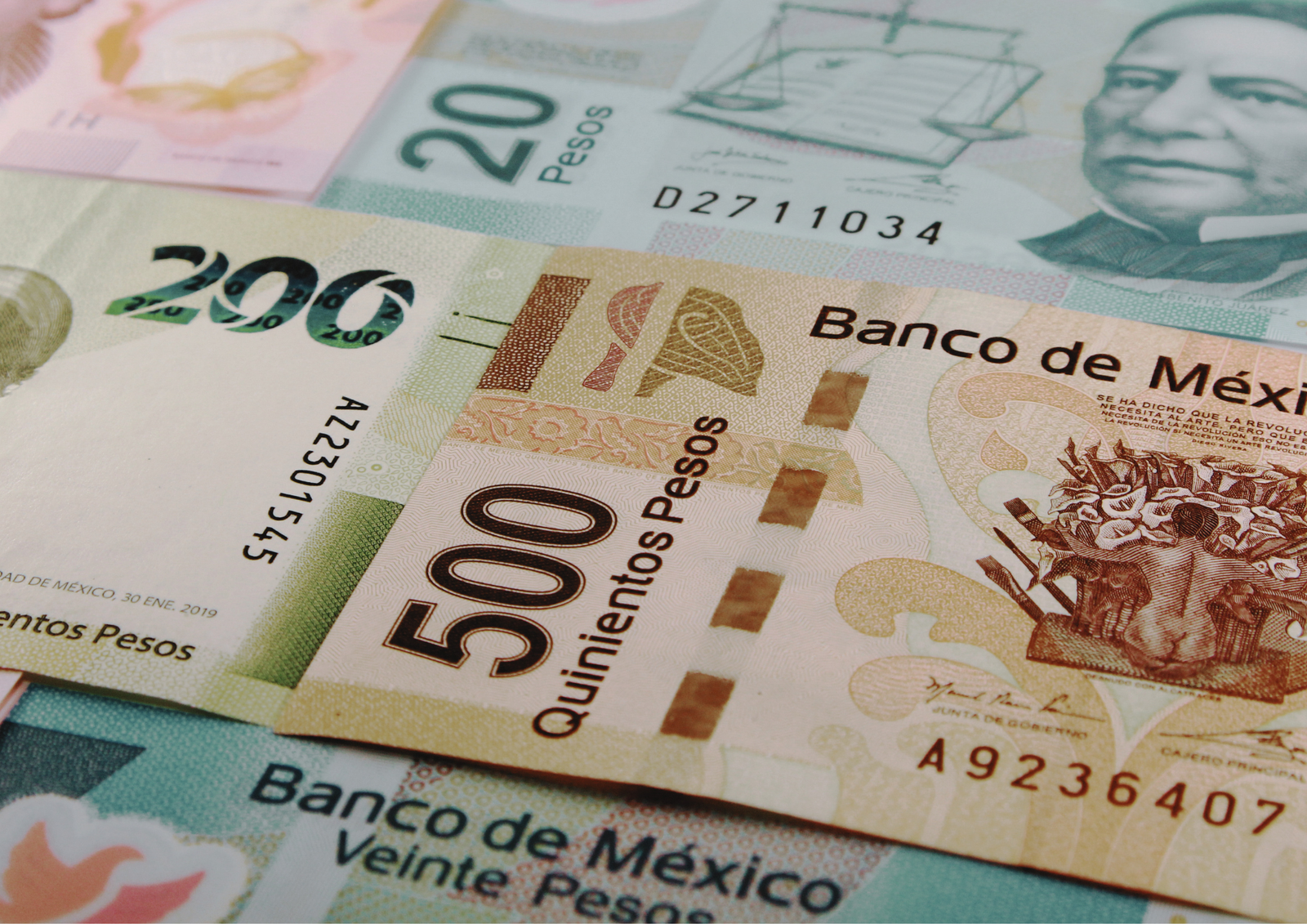 an illustration of Mexican currency