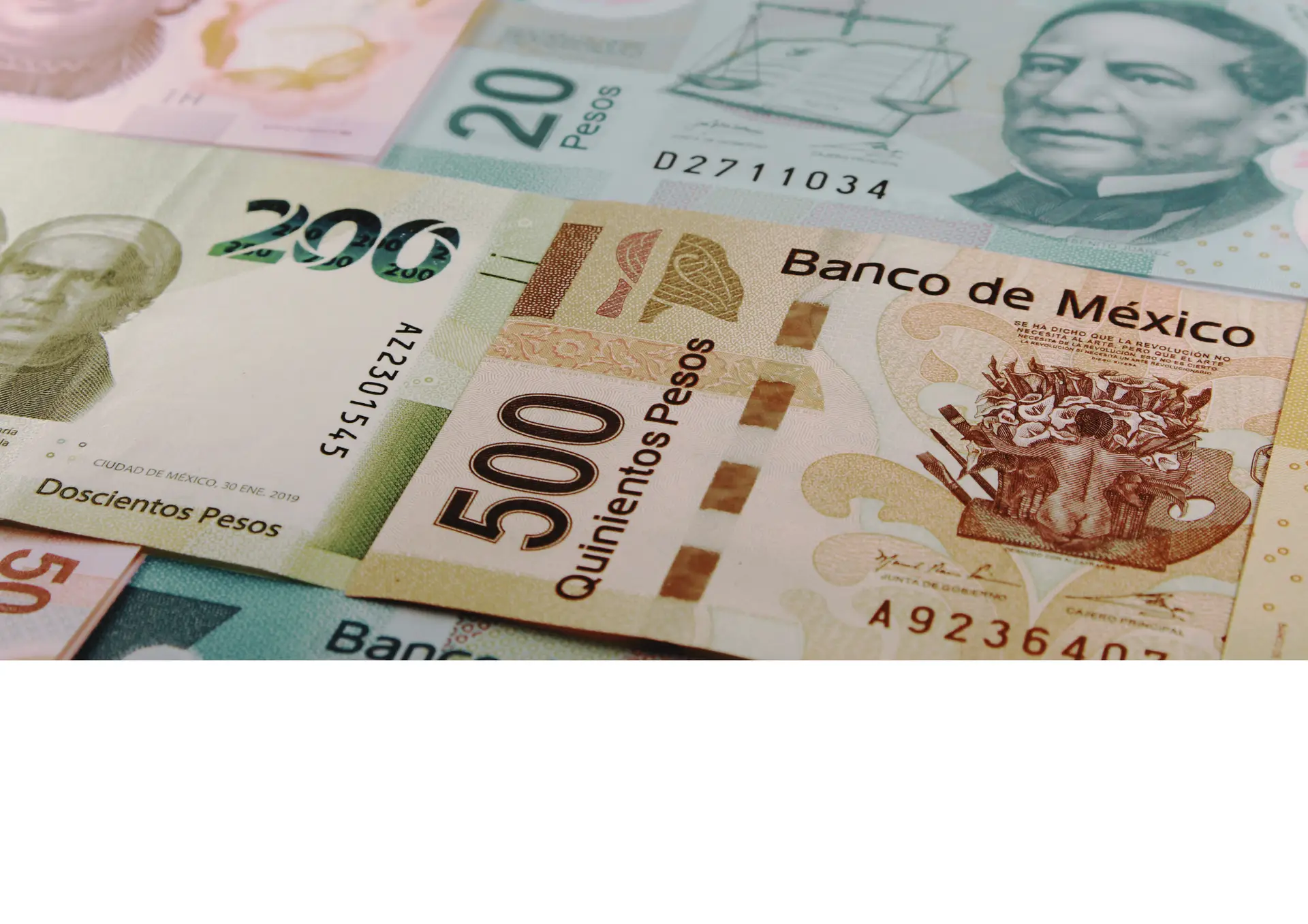 an illustration of mexican money